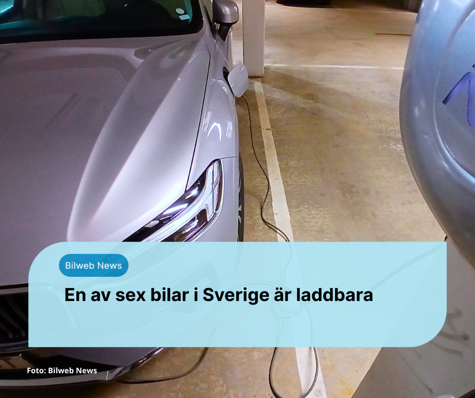 En av sex